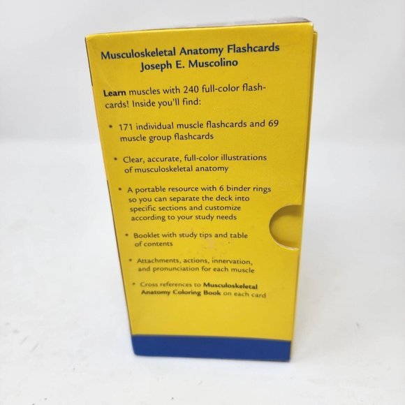 Musculoskeletal Anatomy by Joseph E. Muscolino 2005 Flash Cards - Picture 4 of 10